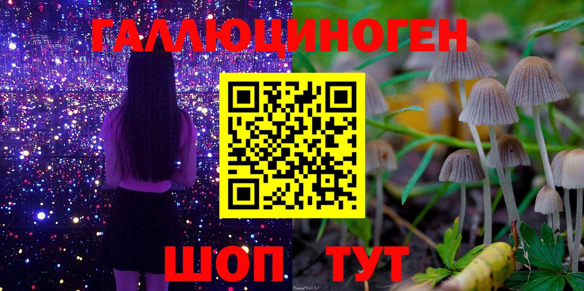 Галлюциногенные грибы GOLDEN TEACHER  Вход с VPN  Новый Уренгой 